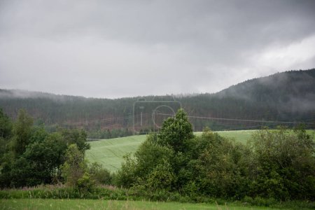 Beautiful nature landscape in Norway with mountains covered with fog and green coniferous trees on a cloudy day with a green field covered with electric poles with wires.