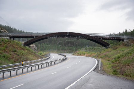 Photo for Norwegian highway road over which a bridge is built for animals. - Royalty Free Image