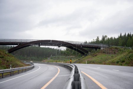highway in Norway in a mountain bend over which a bridge has been built for animals.