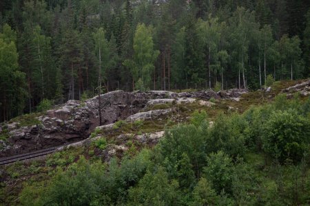 Las vías del tren con un túnel tallado a través de las montañas, una roca en Noruega, rodeado por un bosque de árboles verdes.
