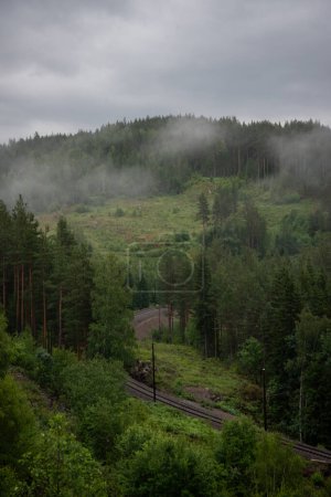 Photo for Norwegian mountain landscape with green trees and white fog with train tracks running through it. - Royalty Free Image