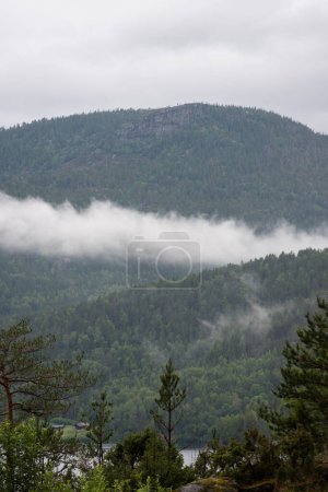 Landscape with green trees in Norwegian mountains in fjords on a foggy day.
