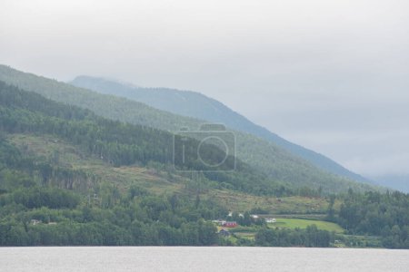 Vista de la naturaleza de las montañas noruegas con coníferas verdes creciendo en la orilla del lago.