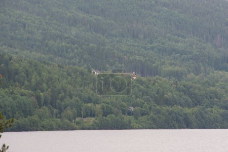 Téléchargez les photos : Montagnes norvégiennes avec des conifères verts parmi lesquels des maisons privées sont construites par une chaude journée d'été. - en image libre de droit