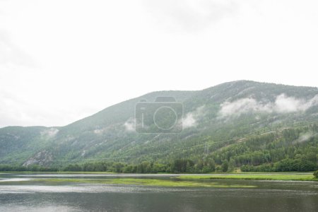Beautiful landscape with Norwegian mountains with green conifers on an autumn rainy day. Raindrops fall in the mountain river.