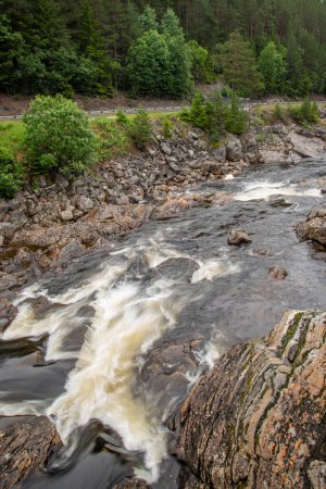 Beautiful landscape with Norwegian rocky rocky mountain river next to highway with rapids where water forms white foam. waterfall in the river. Green coniferous trees on the river bank. Rainy wet summer day.