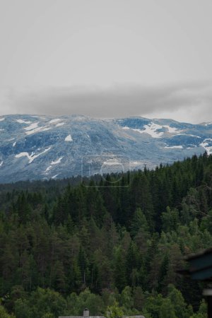 Téléchargez les photos : Beau paysage avec un sommet de montagne norvégien avec de la neige dessus et des conifères verts en dessous - en image libre de droit