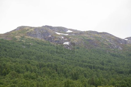 Téléchargez les photos : Vue sur le sommet des montagnes norvégiennes avec neige blanche, conifères verts au pied de la montagne. - en image libre de droit