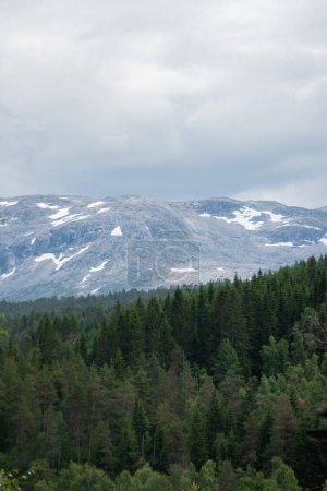 Téléchargez les photos : Beau paysage avec un sommet de montagne norvégien avec de la neige dessus et des conifères verts en dessous - en image libre de droit