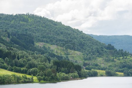 Norwegische Berge mit grünen Bäumen am Flussufer.