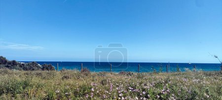Photo for Toledo and Barcelona panoramic city views and close up food and flowers - Royalty Free Image