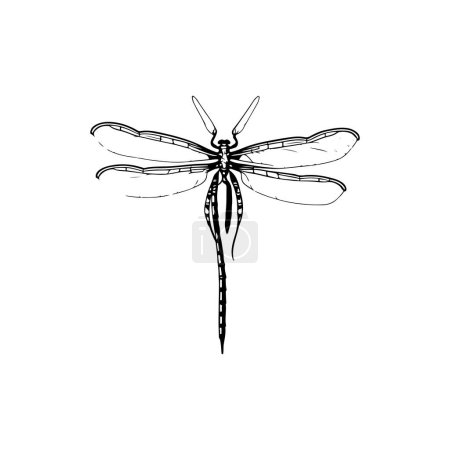 Dragonfly Icon Hand zeichnen schwarze Farbe fliegende Tiere Logo Vektorelement und Symbol