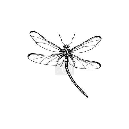 Dragonfly Icon Hand zeichnen schwarze Farbe fliegende Tiere Logo Vektorelement und Symbol