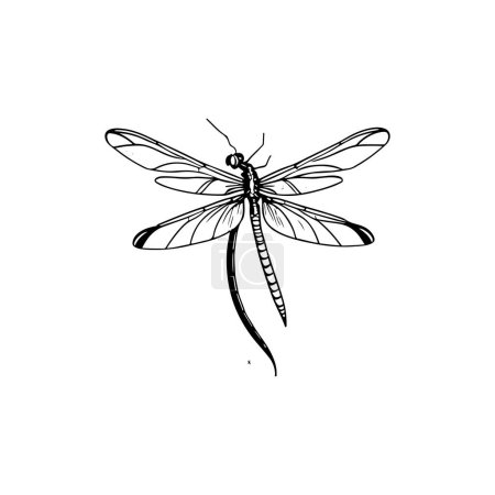 Dragonfly Icon hand draw black colour flying animals logo vector element and symbol