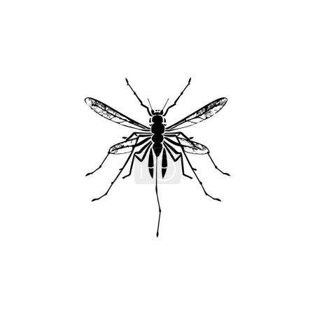 Mosquito Icon hand draw black colour flying animals logo vector element and symbol
