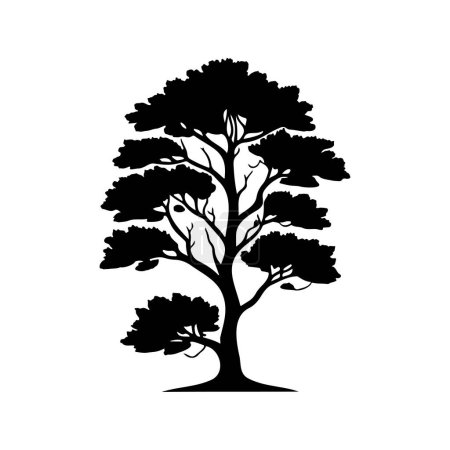 Fagus sylvatica Icono mano dibujar color negro árbol logotipo vector elemento y símbolo