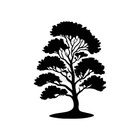 Fagus sylvatica Icon hand draw black colour tree logo vector element and symbol