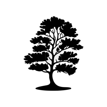 Fagus sylvatica Icon hand draw black colour tree logo vector element and symbol