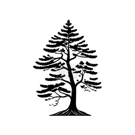 Pinus strobus Icono mano dibujar color negro árbol día logotipo vector elemento y símbolo