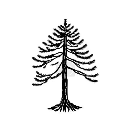 Pinus strobus Icon hand draw black colour tree day logo vector element and symbol