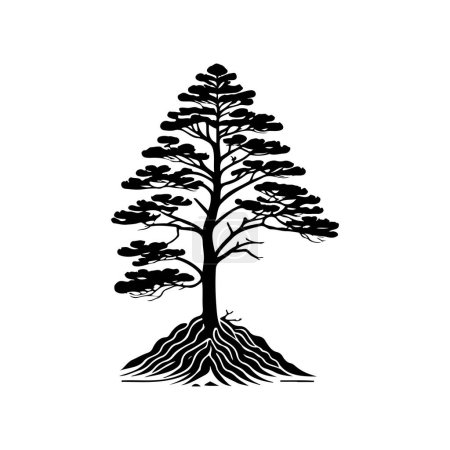 Pinus strobus Icon hand draw black colour tree day logo vector element and symbol