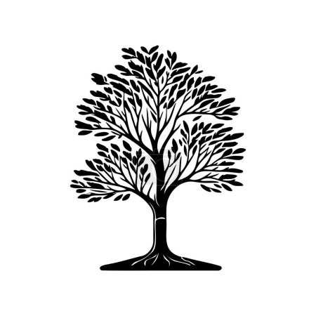 Europäische Esche Icon Hand zeichnen schwarze Farbe Baum Tag Logo Vektorelement und Symbol