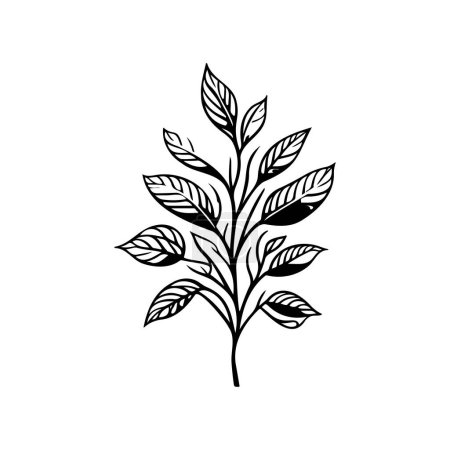Ilustración de Acónito icono mano dibujar negro planta logotipo vector elemento y símbolo - Imagen libre de derechos