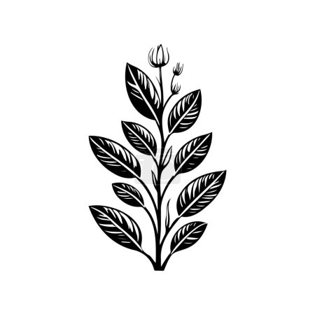 Illustration for Aconite Icon hand draw black plant logo vector element and symbol - Royalty Free Image