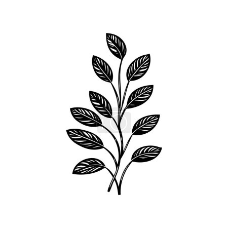Téléchargez les illustrations : Aconite Icône dessiner à la main élément vectoriel logo végétal noir et symbole - en licence libre de droit
