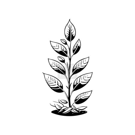 Téléchargez les illustrations : Aconite Icône dessiner à la main élément vectoriel logo végétal noir et symbole - en licence libre de droit