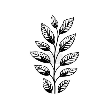 Illustration for Aconite Icon hand draw black plant logo vector element and symbol - Royalty Free Image