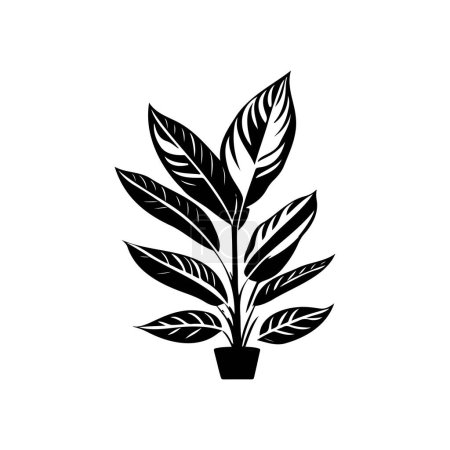 Illustration for Aglaonema Icon hand draw black plant logo vector element and symbol - Royalty Free Image