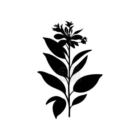 Téléchargez les illustrations : Allamanda Icône dessiner à la main élément vectoriel logo végétal noir et symbole - en licence libre de droit