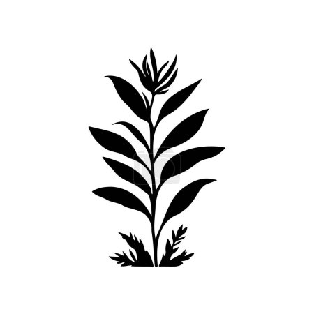 Allamanda Icon hand draw black plant logo vektorelement und symbol