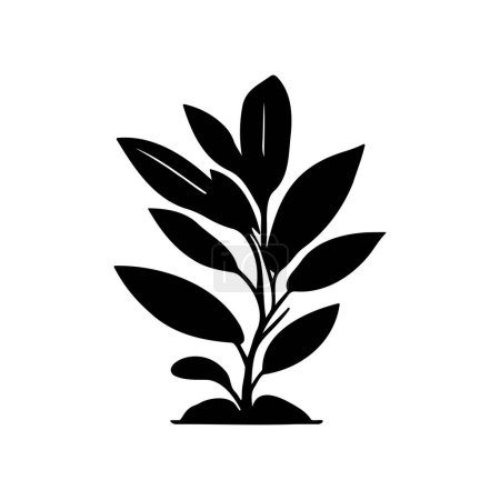 Allamanda Icon hand draw black plant logo vector element and symbol