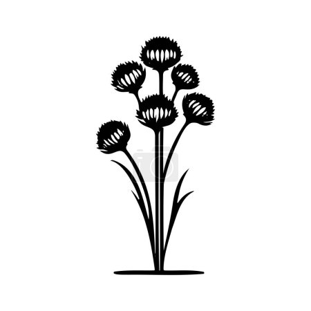 Allium Icon mano dibujar negro color plantas logotipo vector elemento y símbolo