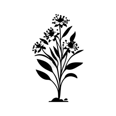 Alyssum lily Icon hand draw black colour plants logo vector element and symbol