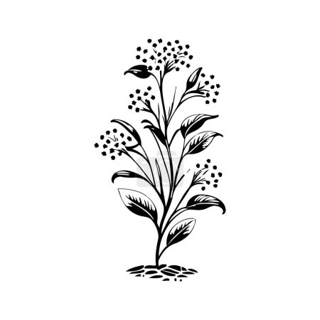 Alyssum lirio Icono mano dibujar negro color plantas logotipo vector elemento y símbolo