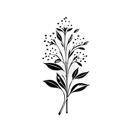 Alyssum lily Icon hand draw black colour plants logo vector element and symbol