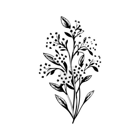 Alyssum lirio Icono mano dibujar negro color plantas logotipo vector elemento y símbolo