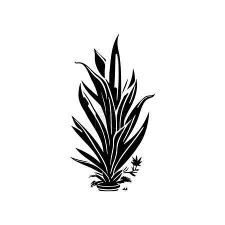 Aloe Icon hand draw black colour plants logo vector element and symbol