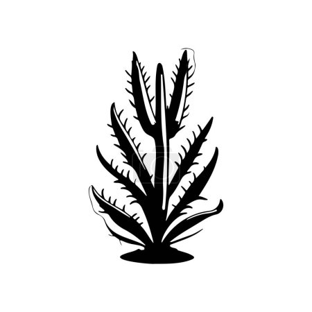 Illustration for Aloe Icon hand draw black colour plants logo vector element and symbol - Royalty Free Image