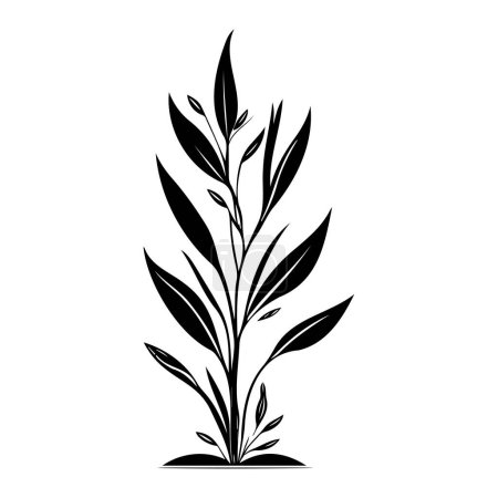 Illustration for Anthericum Icon hand draw black colour plant leaf logo vector element and symbol - Royalty Free Image
