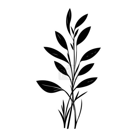 Ilustración de Anthericum Icon mano dibujar color negro hoja logo vector elemento y símbolo - Imagen libre de derechos