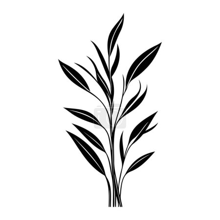 Anthericum Icon hand draw black colour plant leaf logo vector element and symbol