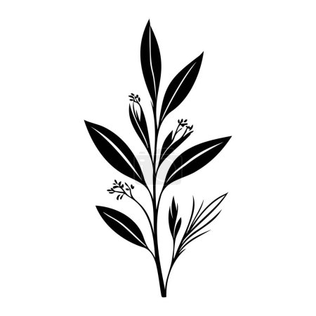 Téléchargez les illustrations : Anthericum Icône dessiner à la main couleur noire plante feuille logo élément vecteur et symbole - en licence libre de droit