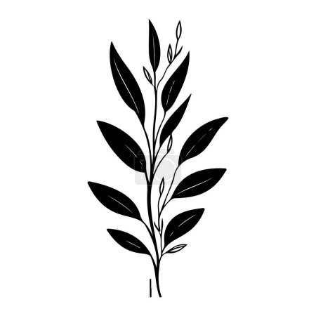 Ilustración de Anthericum Icon mano dibujar color negro hoja logo vector elemento y símbolo - Imagen libre de derechos