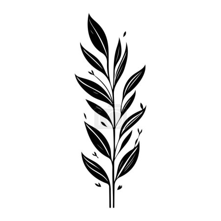 Illustration for Anthericum Icon hand draw black colour plant leaf logo vector element and symbol - Royalty Free Image