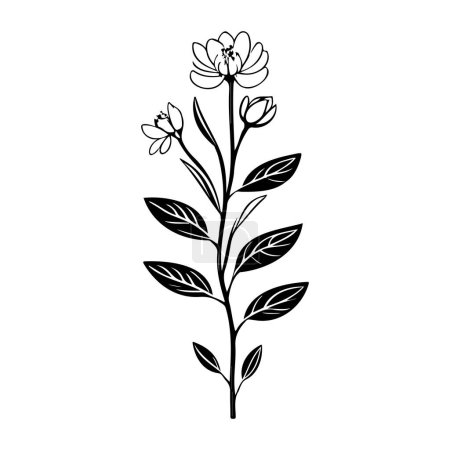 Illustration for Armeria Icon hand draw black colour plant leaf logo vector element and symbol - Royalty Free Image