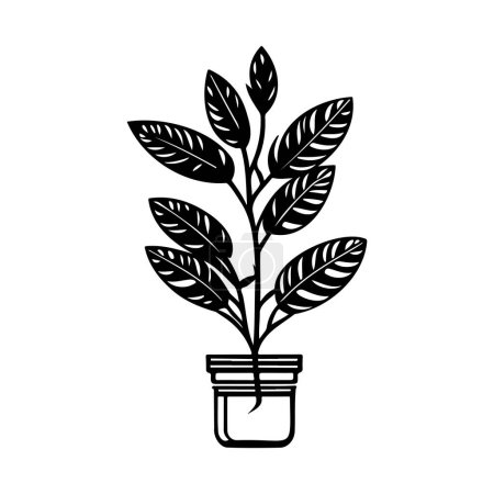 Illustration for Bay Icon hand draw black colour plant leaf logo vector element and symbol - Royalty Free Image